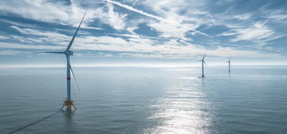 IP Paris remporte un appel à manifestation d’intérêt pour former des experts en éolien flottant