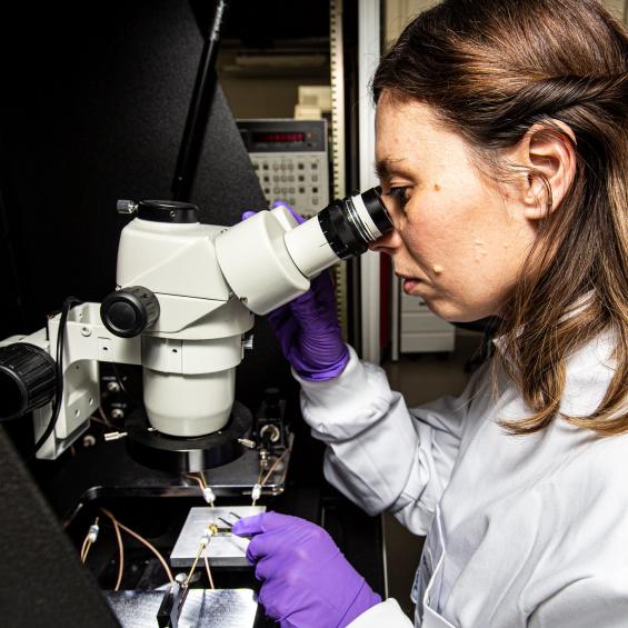 Master 2 Ingénierie BioMédicale (BME)