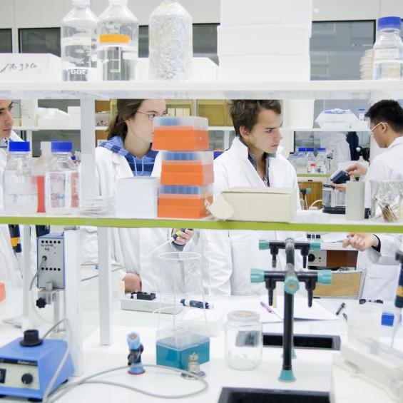 Master 2 Chimie et Interfaces